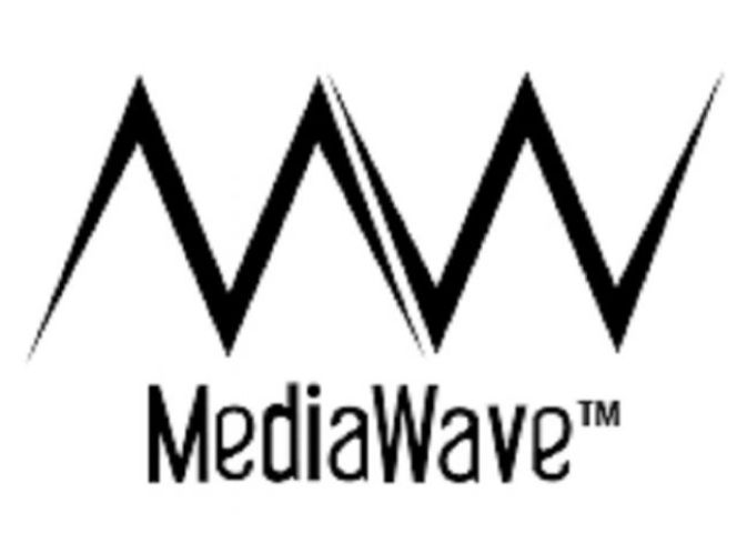 Lowongan PT.Media Wave Interaktif